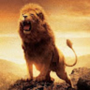 Meet your Posher, Bernard